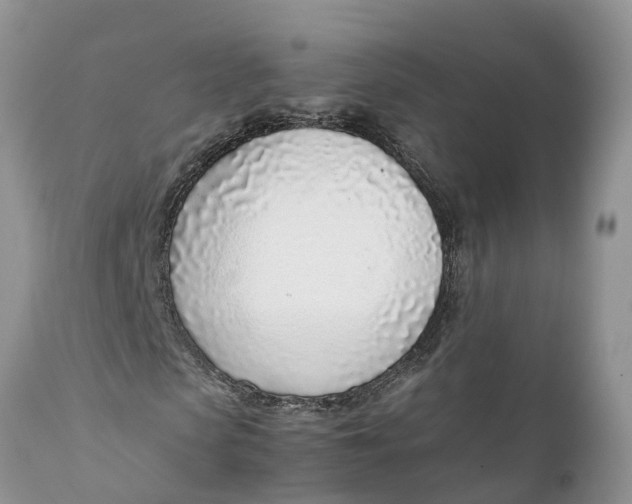 X0000111920913200908171320