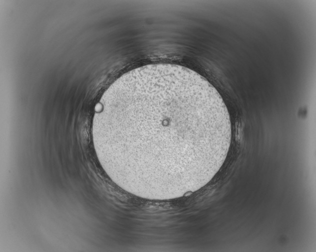 X0000111920915200908171320