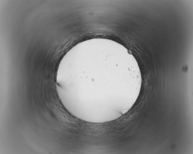 X0000111920916200908171320