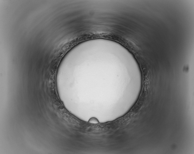 X0000111920917200908171321