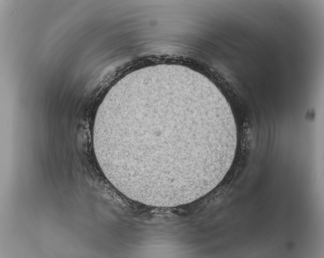 X0000111920918200908171321