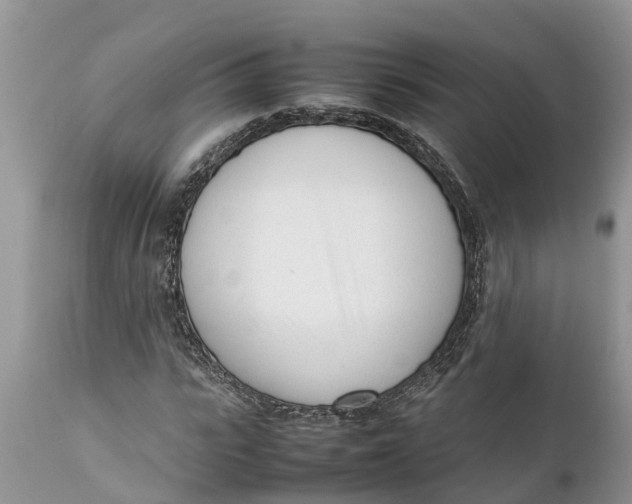 X0000111920919200908171321