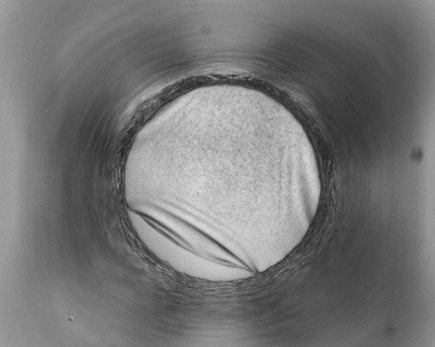 X0000111920920200908171321