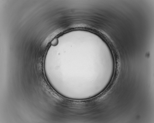 X0000111920921200908171321