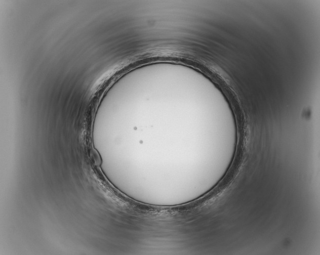 X0000111920922200908171321