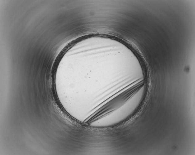 X0000111920924200908171321