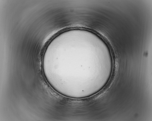 X0000111920925200908171321