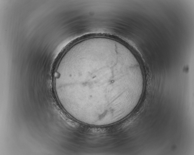 X0000111920927200908171321