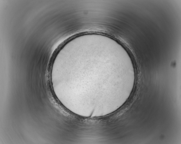 X0000111920928200908171321