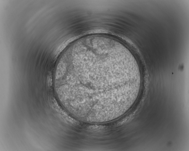 X0000111920929200908171321