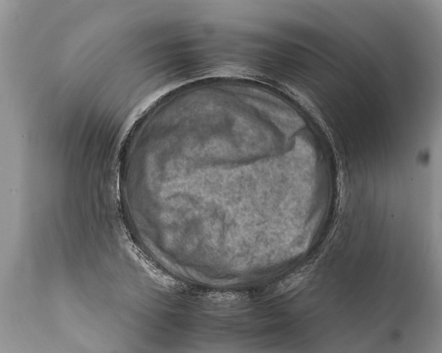 X0000111920931200908171321