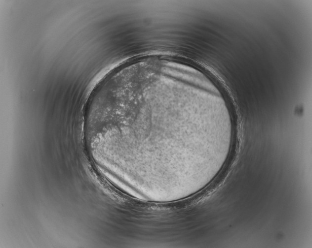 X0000111920933200908171321