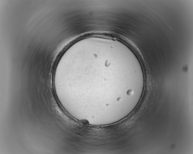 X0000111920935200908171321