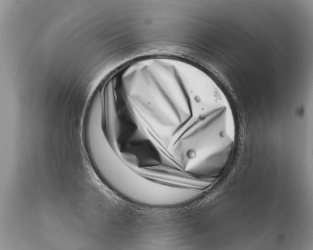 X0000111920936200908171321