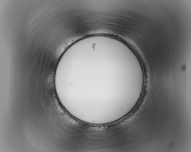 X0000111920937200908171321