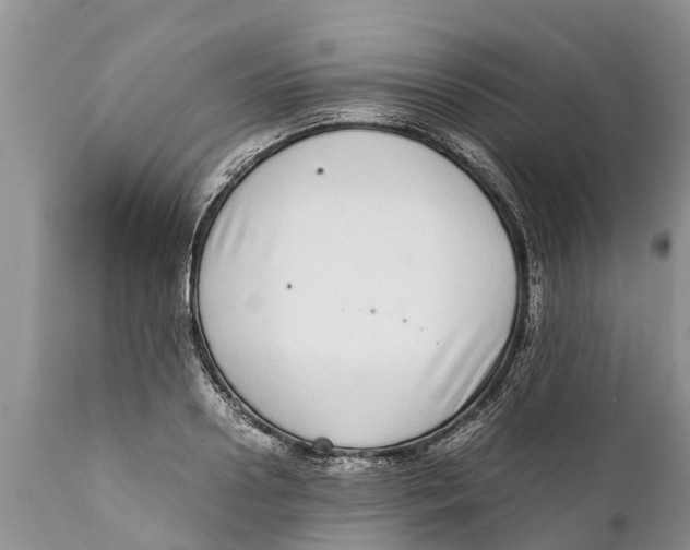 X0000111920938200908171321