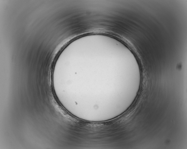 X0000111920939200908171321