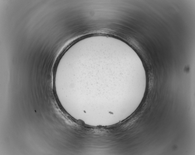 X0000111920940200908171321