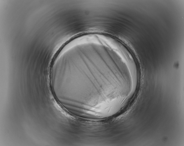 X0000111920941200908171321