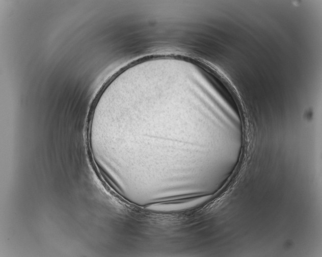 X0000111920943200908171321