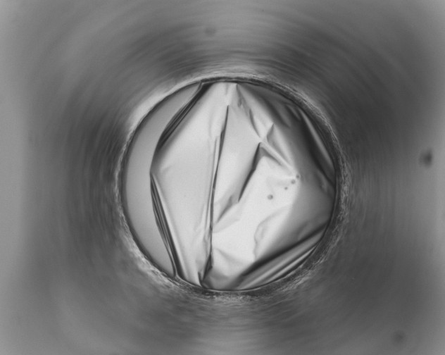 X0000111920944200908171321