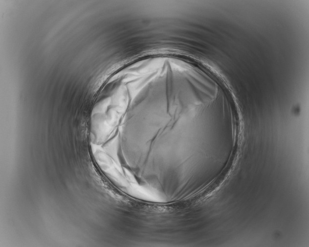 X0000111920945200908171321