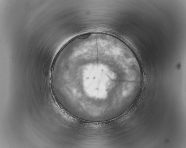 X0000111920948200908171321