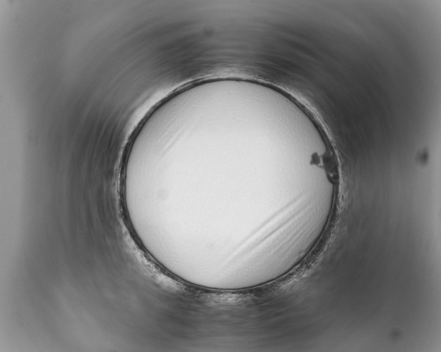 X0000111920949200908171321