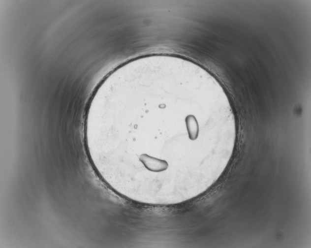 X0000111920950200908171321