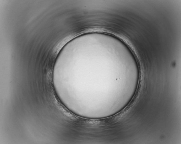 X0000111920953200908171321