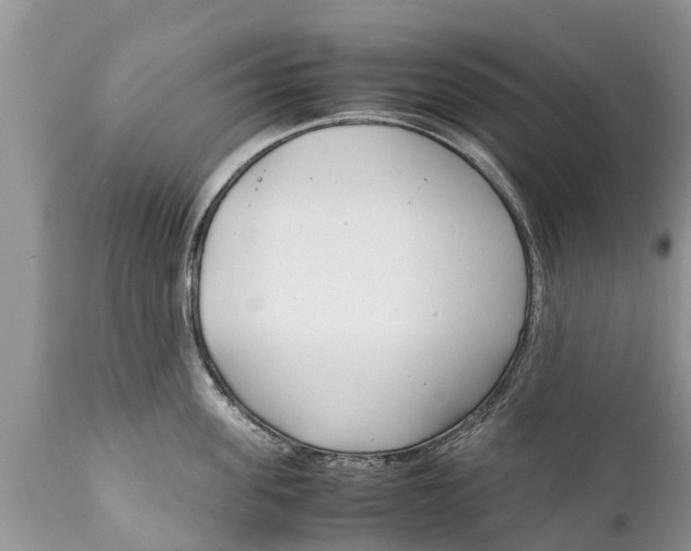 X0000111920955200908171321