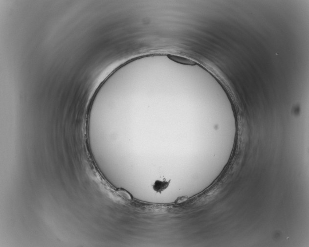 X0000111920956200908171321