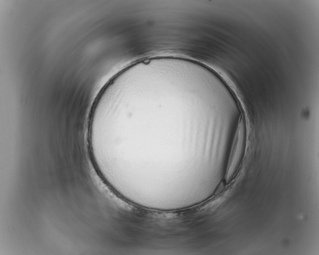 X0000111920957200908171321