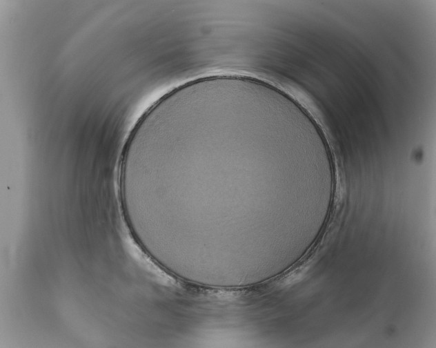 X0000111920958200908171321