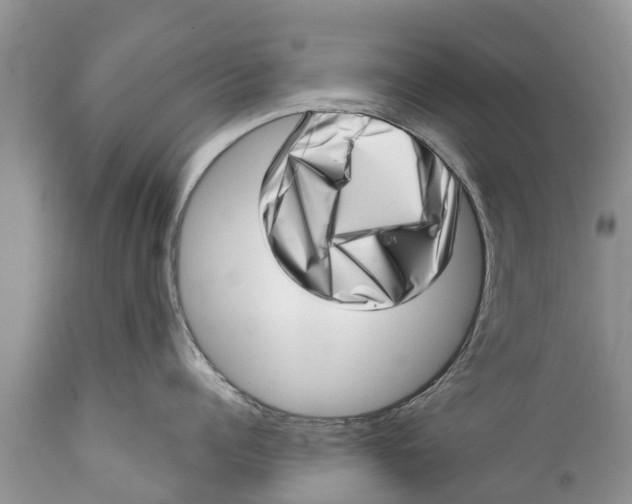 X0000111920960200908171321