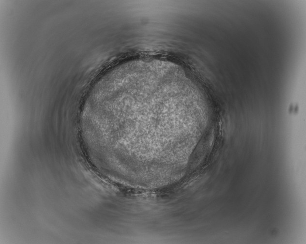 X0000111920961200908171320