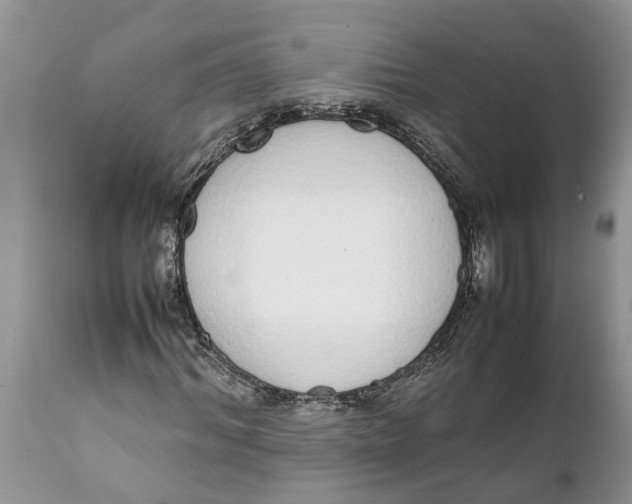 X0000111920964200908171320