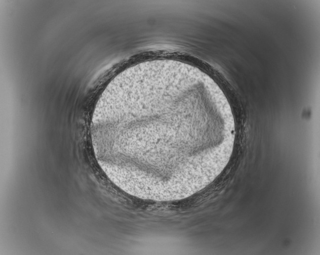 X0000111920967200908171320