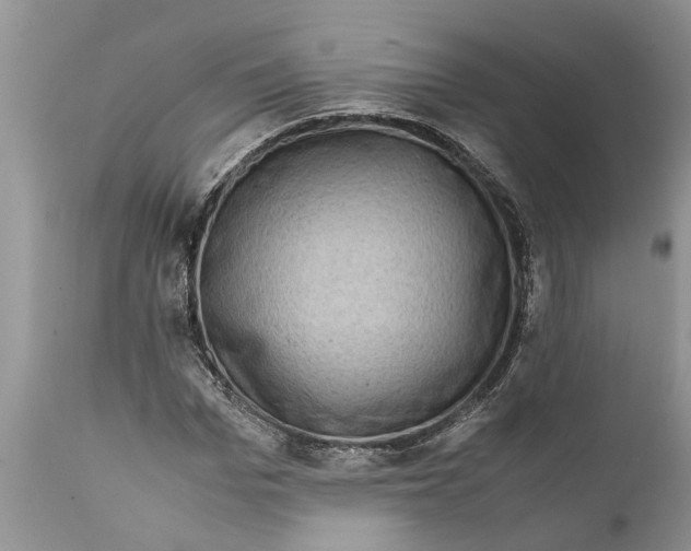 X0000111920969200908171320