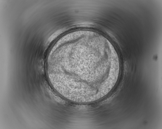 X0000111920970200908171320