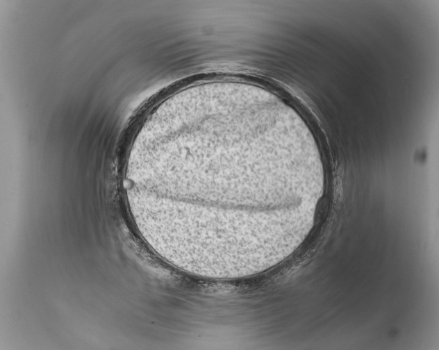 X0000111920971200908171320