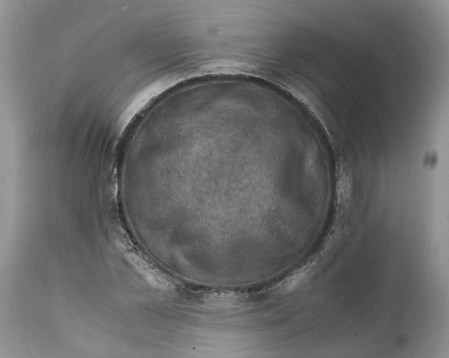 X0000111920973200908171320