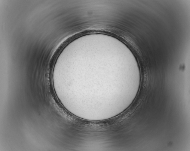 X0000111920976200908171320