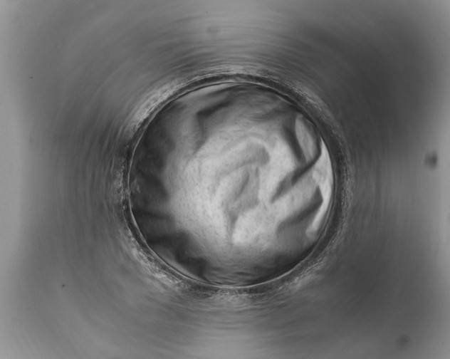 X0000111920977200908171320