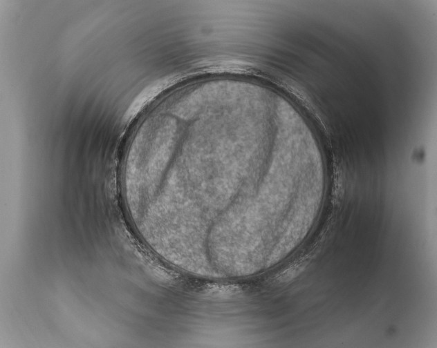 X0000111920978200908171320