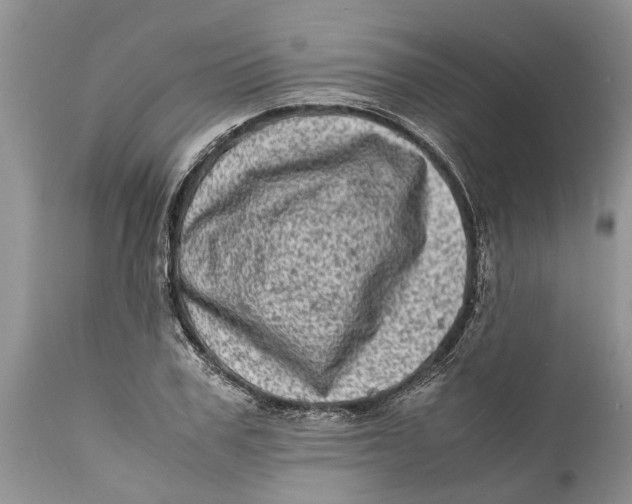 X0000111920979200908171320