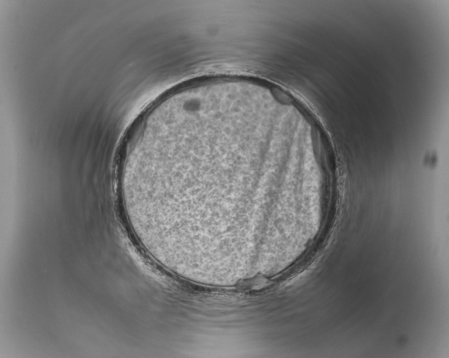 X0000111920981200908171320