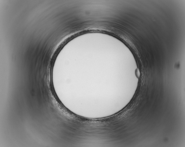 X0000111920984200908171320