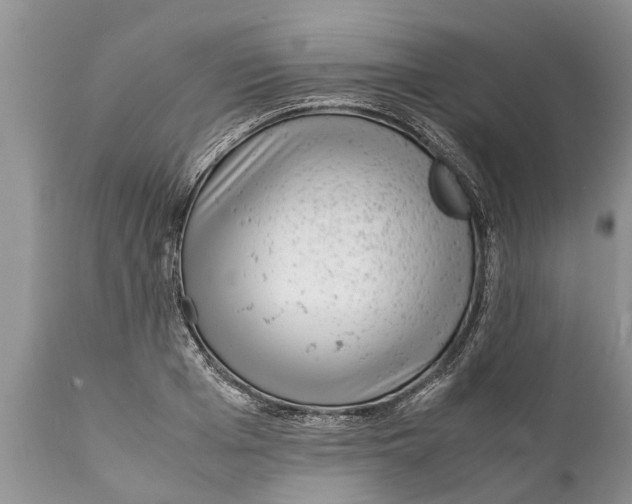 X0000111920985200908171320