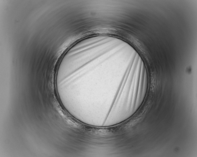 X0000111920986200908171320